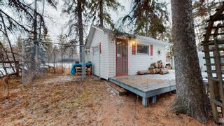 Photo 47: A809 2 Avenue: Rural Wetaskiwin County House for sale : MLS®# E4272045