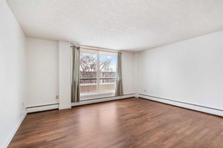 Photo 13: 401 123 24 Avenue SW in Calgary: Mission Apartment for sale : MLS®# A2115992
