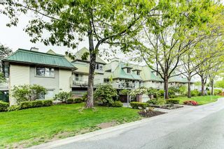 Photo 26: 102 22275 123RD Avenue in Maple Ridge: West Central Condo for sale in "MountainView Terraces" : MLS®# R2595874
