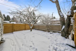 Photo 24: 236 Parkwood Close SE in Calgary: Parkland Detached for sale : MLS®# A1183831