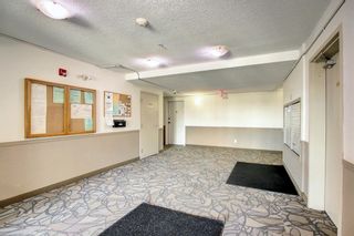 Photo 18: 6414 304 Mackenzie Way SW: Airdrie Apartment for sale : MLS®# A2053732