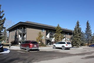 Photo 2: 228 6108 53: Olds Apartment for sale : MLS®# A1197485