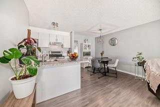 Photo 3: 202 5555 Falsbridge Drive NE in Calgary: Falconridge Apartment for sale : MLS®# A2118008
