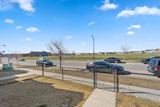 Photo 42: 255 Taravista Drive NE in Calgary: Taradale Detached for sale : MLS®# A2123664