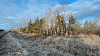 Photo 6: Lots Clarence Road in Clarence: Annapolis County Vacant Land for sale (Annapolis Valley)  : MLS®# 202226927