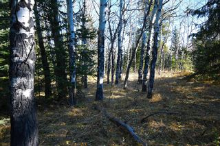 Photo 34: 20.02 Acres +/- NW of Cochrane in Rural Rocky View County: Rural Rocky View MD Land for sale : MLS®# A1065950