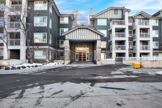 Photo 33: 118 35 Richard Court SW in Calgary: Lincoln Park Apartment for sale : MLS®# A2033945