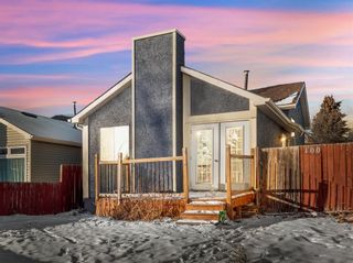 Main Photo: 100 Martindale Close NE in Calgary: Martindale Detached for sale : MLS®# A2014446