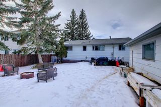 Photo 31: 3828 52A Avenue: Innisfail Detached for sale : MLS®# A1173556