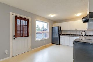 Photo 11: 3902 26 Avenue SE in Calgary: Forest Lawn Semi Detached for sale : MLS®# A1235033