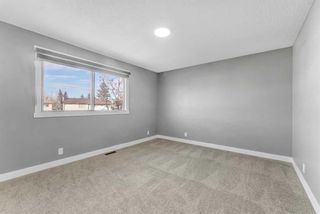 Photo 17: 16 Castlepark Way NE in Calgary: Castleridge Semi Detached (Half Duplex) for sale : MLS®# A2114958