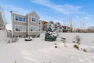 Photo 3: 16 Johnson Place SW in Calgary: Garrison Green Detached for sale : MLS®# A2117897