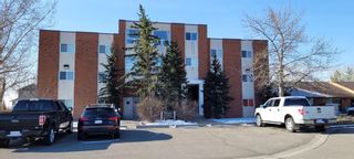 Photo 3: 303 1 Chinook Crescent W: Claresholm Apartment for sale : MLS®# A1259452