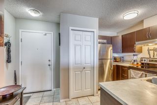 Photo 11: 1509 1053 10 Street SW in Calgary: Beltline Apartment for sale : MLS®# A1217179