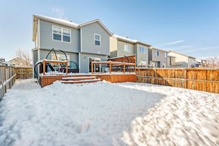 Photo 25: 984 Copperfield Boulevard SE in Calgary: Copperfield Detached for sale : MLS®# A2028253