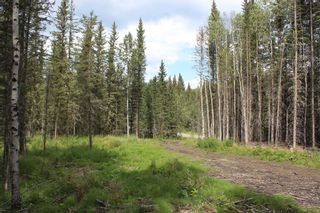 Photo 19: 360085 214 Avenue W: Rural Foothills County Residential Land for sale : MLS®# A1149106