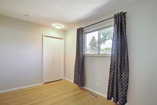 Photo 10: 3423 30A Avenue SE in Calgary: Dover Detached for sale : MLS®# A1114243