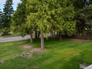 Photo 5: 314 3270 Ross Rd in Nanaimo: Na Uplands Condo for sale : MLS®# 871193