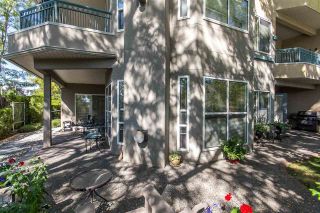 Photo 18: 104 34101 OLD YALE Road in Abbotsford: Central Abbotsford Condo for sale in "YALE TERRACE" : MLS®# R2103296