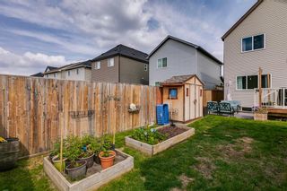 Photo 27: 378 Copperpond Boulevard SE in Calgary: Copperfield Detached for sale : MLS®# A2051584