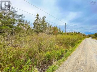 Photo 3: Lot 101 Long Cove Road in Port Medway: Vacant Land for sale : MLS®# 202304042