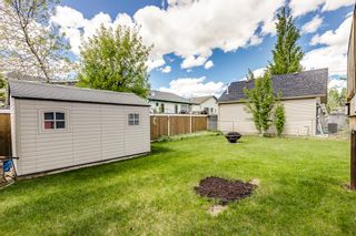 Photo 25: 124 Sunridge Crescent NW: Airdrie Detached for sale : MLS®# A2052307