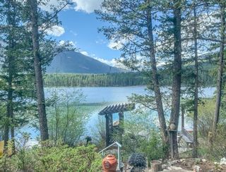 Photo 14: 3680 RAD ROAD in Invermere: House for sale : MLS®# 2474494