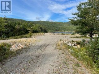 Photo 31: 460 Route - White's Road in Gull Pond: Vacant Land for sale : MLS®# 1261834
