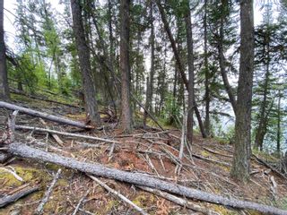 Photo 10: LOT 8 S SOMERSET Drive: Cluculz Lake Land for sale in "SOMERSET ESTATES" (PG Rural West)  : MLS®# R2793850