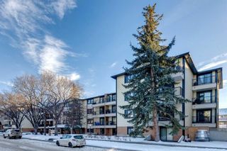 Photo 1: 105 727 56 Avenue SW in Calgary: Windsor Park Apartment for sale : MLS®# A2102886
