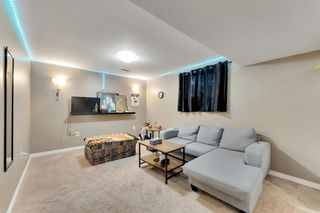Photo 41: 64 Skyview Point Terrace in Calgary: Skyview Ranch Detached for sale : MLS®# A2031835