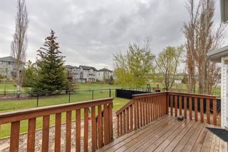 Photo 39: 169 Millview Manor SW in Calgary: Millrise Detached for sale : MLS®# A2047107