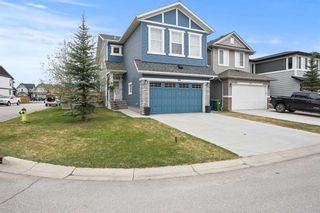 Photo 44: 288 Chaparral Valley Way SE in Calgary: Chaparral Detached for sale : MLS®# A2126630