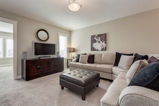 Photo 21: 689 Nolan Hill Boulevard NW in Calgary: Nolan Hill Detached for sale : MLS®# A1226864