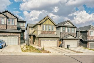Photo 43: 161 Nolanhurst Crescent NW in Calgary: Nolan Hill Detached for sale : MLS®# A1258292