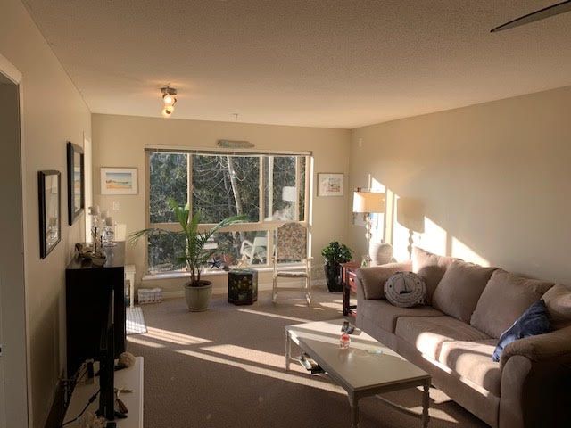 Photo 8: Photos: 313 11665 HANEY Bypass in Maple Ridge: West Central Condo for sale in "Haney Landing" : MLS®# R2536306