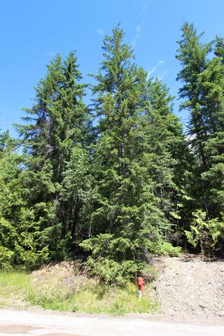 Photo 6: Lot 212 Estate Place in Anglemont: North Shuswap Land Only for sale : MLS®# 10233839