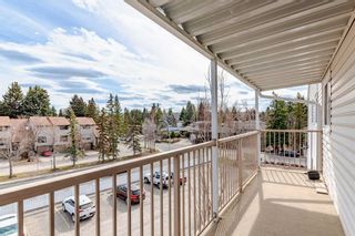 Photo 13: 401 3420 50 Street NW in Calgary: Varsity Apartment for sale : MLS®# A2127023