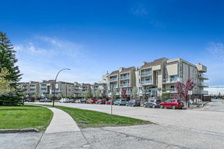Photo 14: 201 3747 42 Street NW in Calgary: Varsity Apartment for sale : MLS®# A1111049