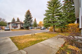 Photo 4: 37 Big Springs Crescent SE, Airdrie
