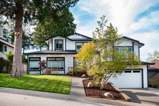 Photo 7: 1243 PACIFIC DRIVE in Tsawwassen: English Bluff House for sale : MLS®# R2584527