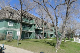 Photo 1: 4102 315 Southampton Drive SW in Calgary: Southwood Apartment for sale : MLS®# A2125468