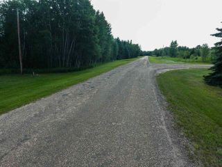 Photo 19: Pinebrook Block 1 Lot 2: Rural Thorhild County Rural Land/Vacant Lot for sale : MLS®# E4171871