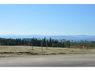 Photo 4: LOT 19 BELL Place in Mackenzie: Mackenzie -Town Land for sale in "BELL PLACE" : MLS®# N227312