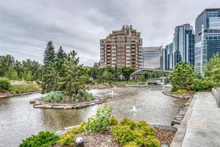 Photo 50: 1307 738 1 Avenue SW in Calgary: Eau Claire Apartment for sale : MLS®# A1172113
