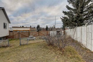 Photo 32: 109 Hunterhorn Crescent NE in Calgary: Huntington Hills Detached for sale : MLS®# A2095822