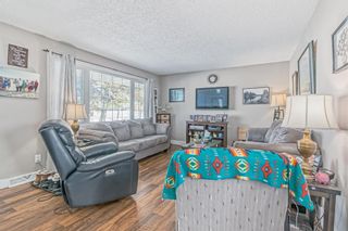 Photo 5: 2439 52 Avenue SW in Calgary: North Glenmore Park Detached for sale : MLS®# A2050001