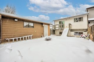 Photo 23: 224 Pinemill Mews NE in Calgary: Pineridge Semi Detached (Half Duplex) for sale : MLS®# A2023881
