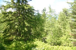 Photo 14: 4827 Goodwin Road in Eagle Bay: Vacant Land for sale : MLS®# 10116745