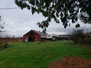 Photo 12: Blueberry Farm FORD RD, Pitt Meadows in Pitt Meadows: West Meadows House for sale : MLS®# R2519795